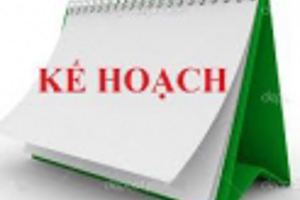 Kế hoạch thi học sinh giỏi cấp trường Năm học:  ..